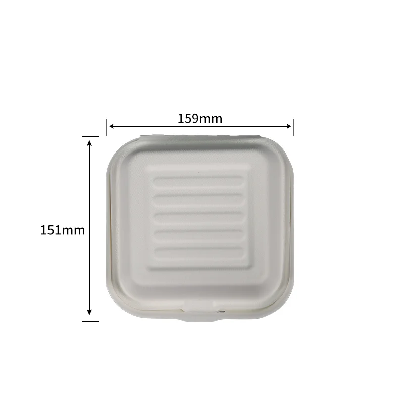 15.2 cm Hamburg Box · chamshell · product image